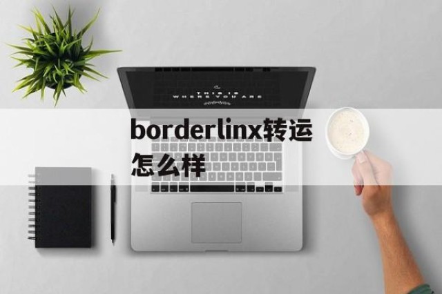 关于borderlinx转运怎么样的信息