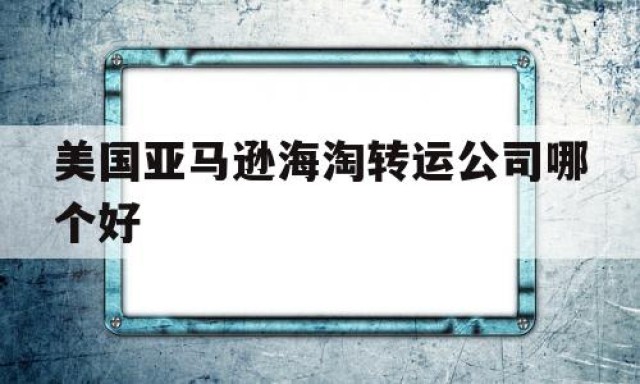 美国亚马逊海淘转运公司哪个好